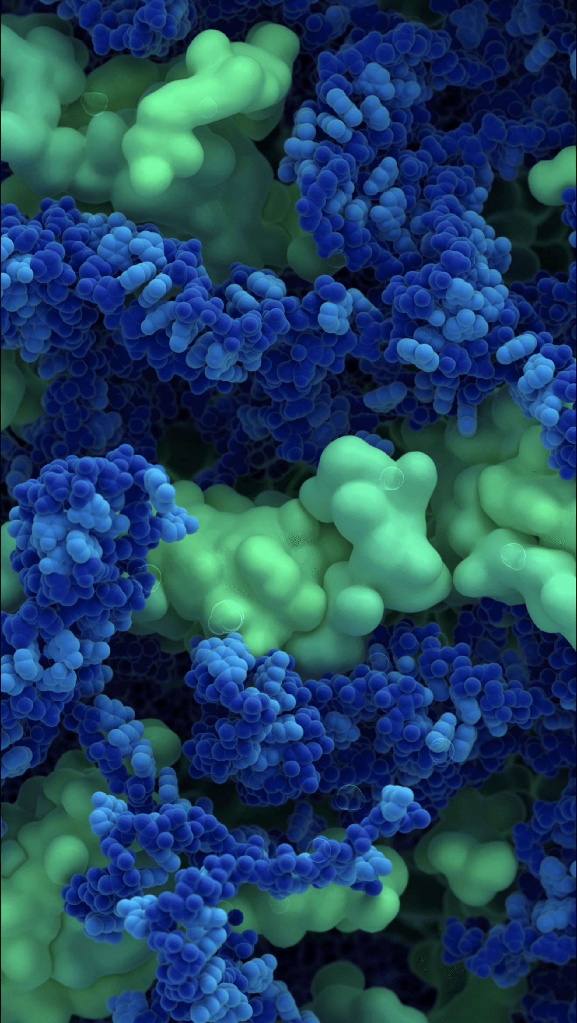 Capsid protein C and Genomic RNA