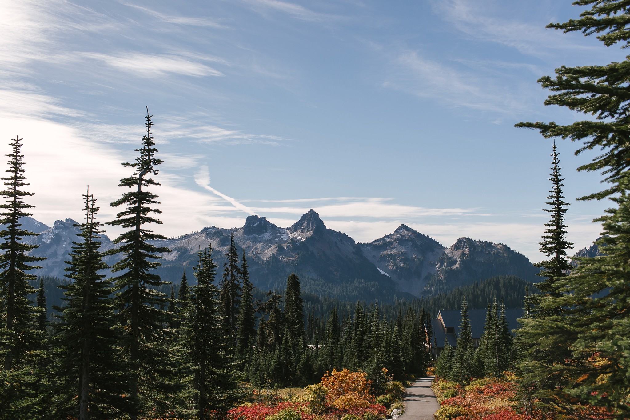 Mt. Rainer peaking out behind a forest