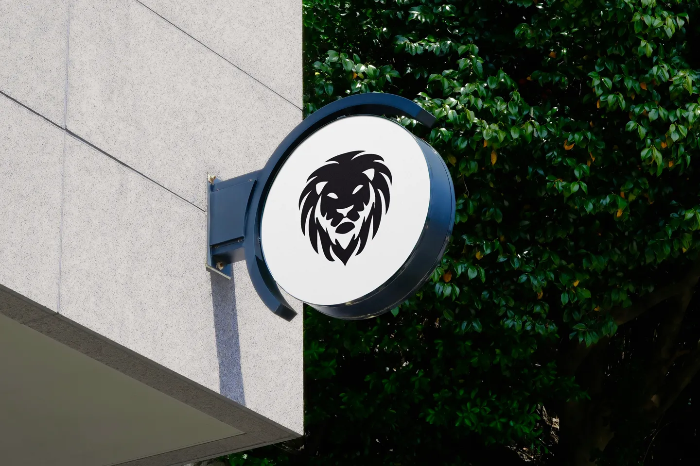 portada bonn cerveza de autor diseño de marca