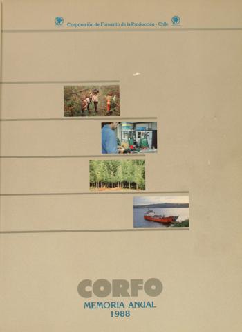 CORFO, Memoria Anual 1988, 1989