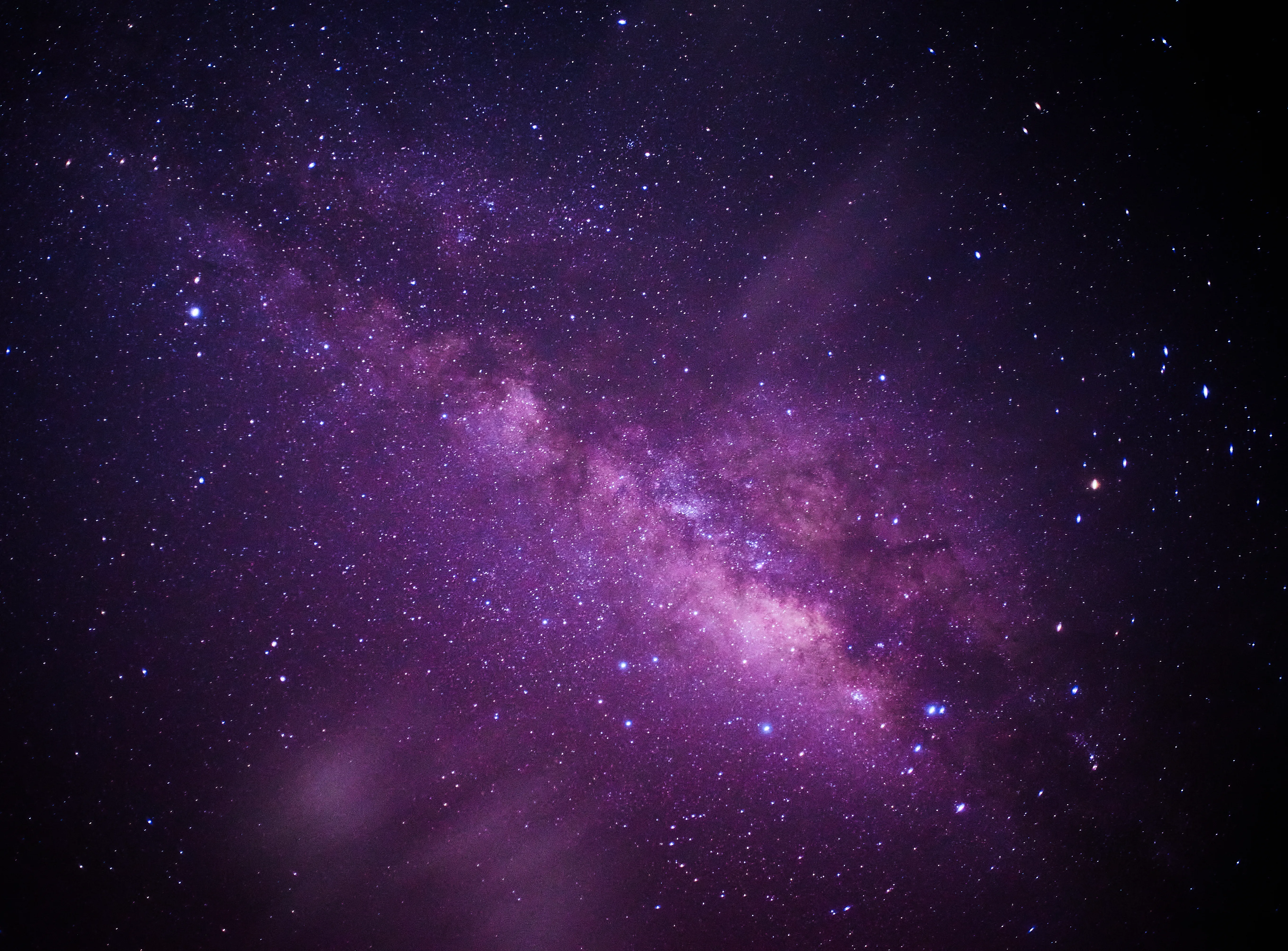 silhouette of trees near Aurora Borealis at night