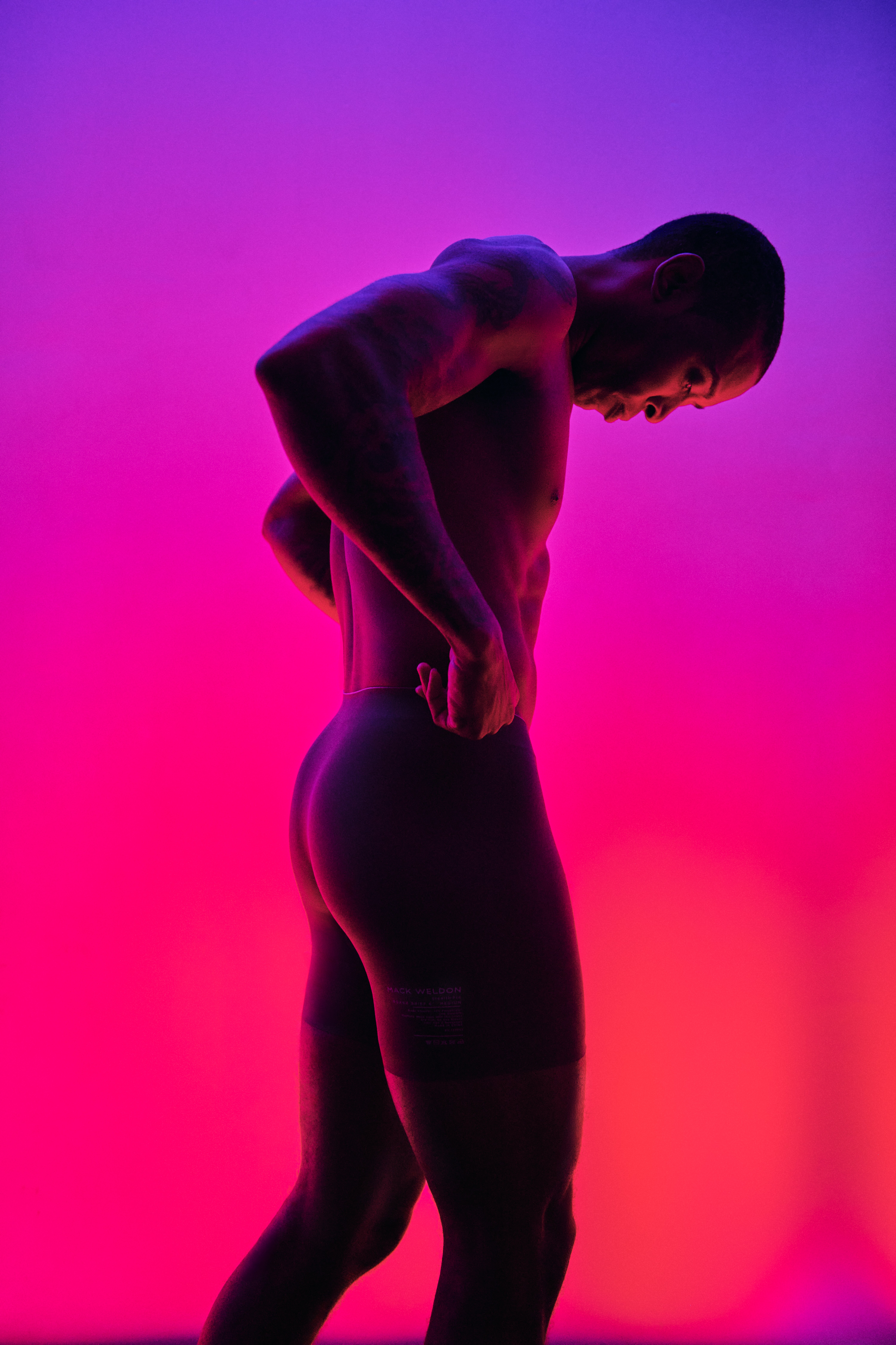 House furnished with modern style