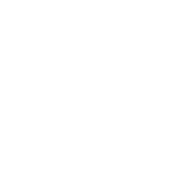 Logo of TenForge