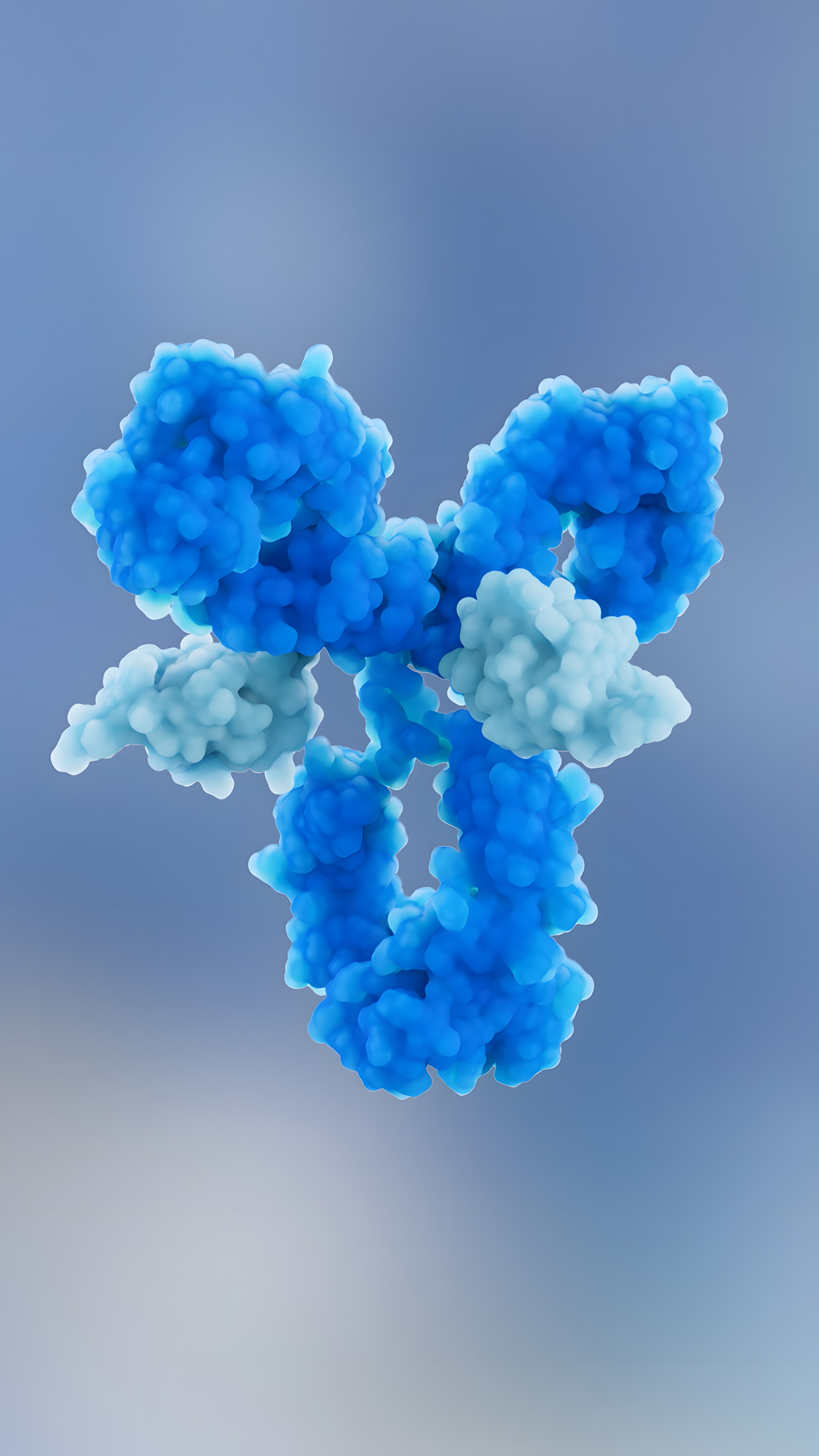 Molecular visualization of the ficerafusp alpha antibody-drug conjugate