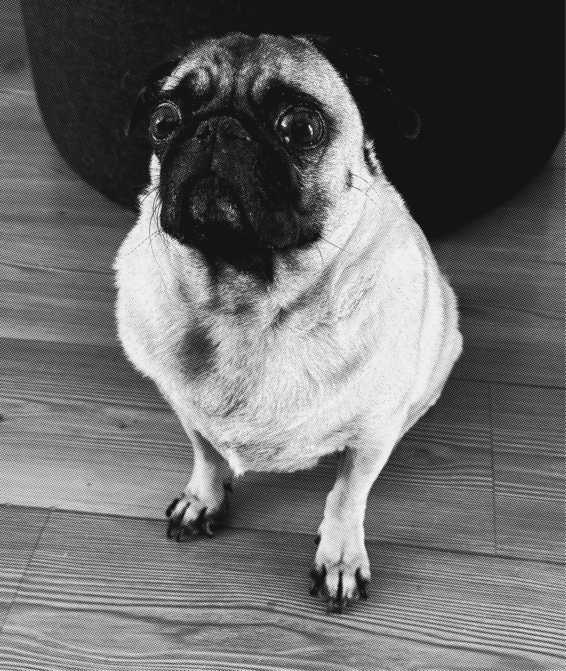 Bonnie