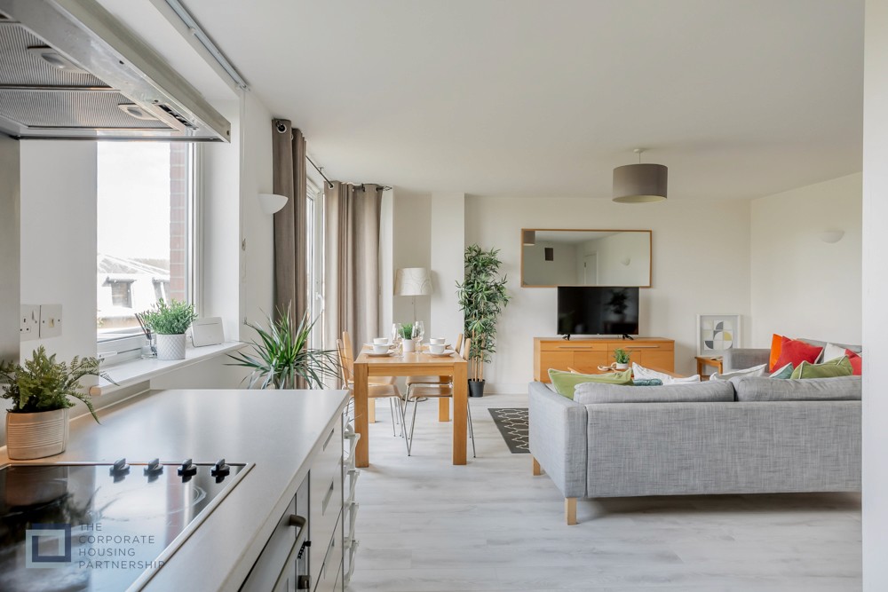 Clean open serviced apartment 
