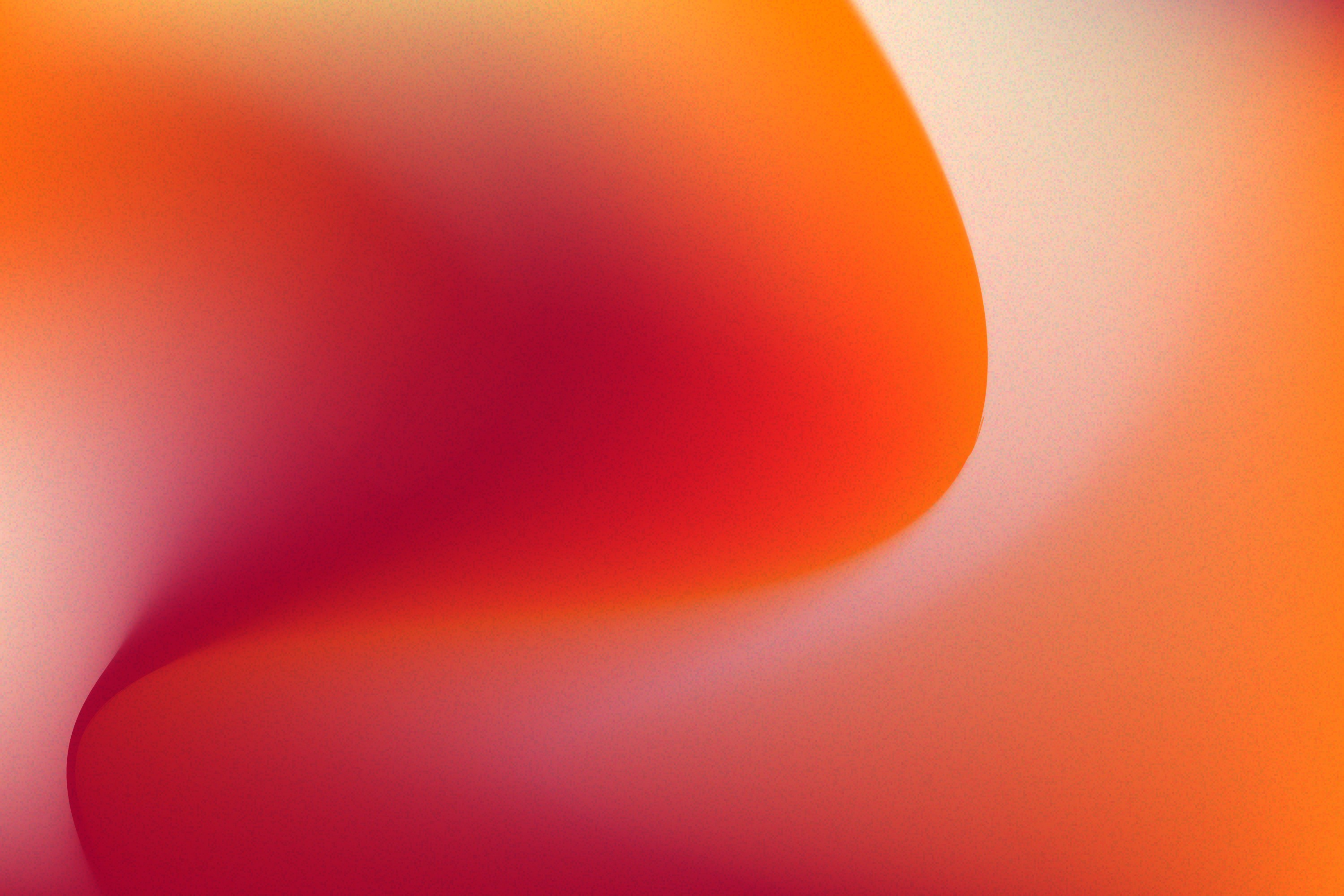 Close Up Photo of Woman Wearing Eyeglasses