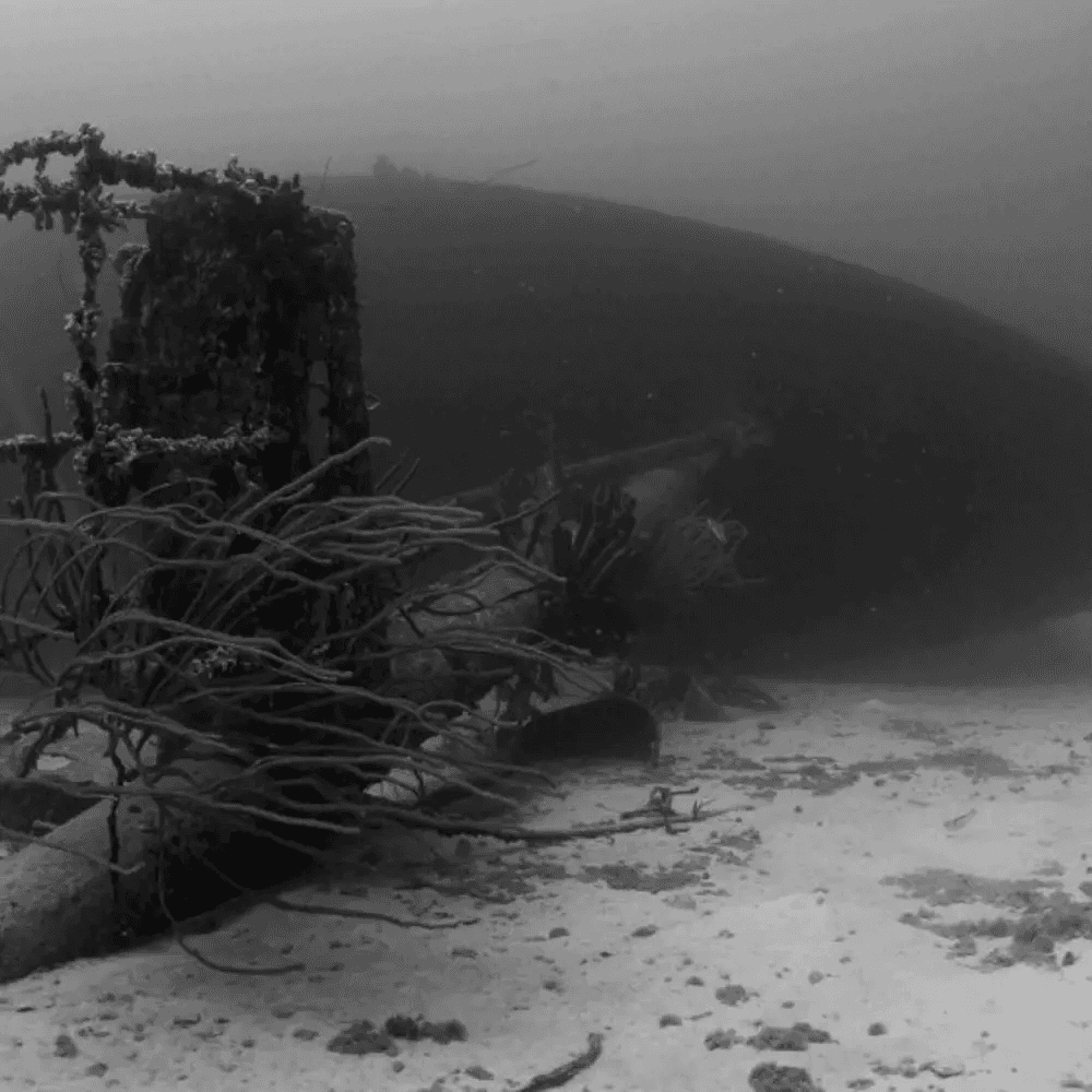 underwater wrecked ship bonaire