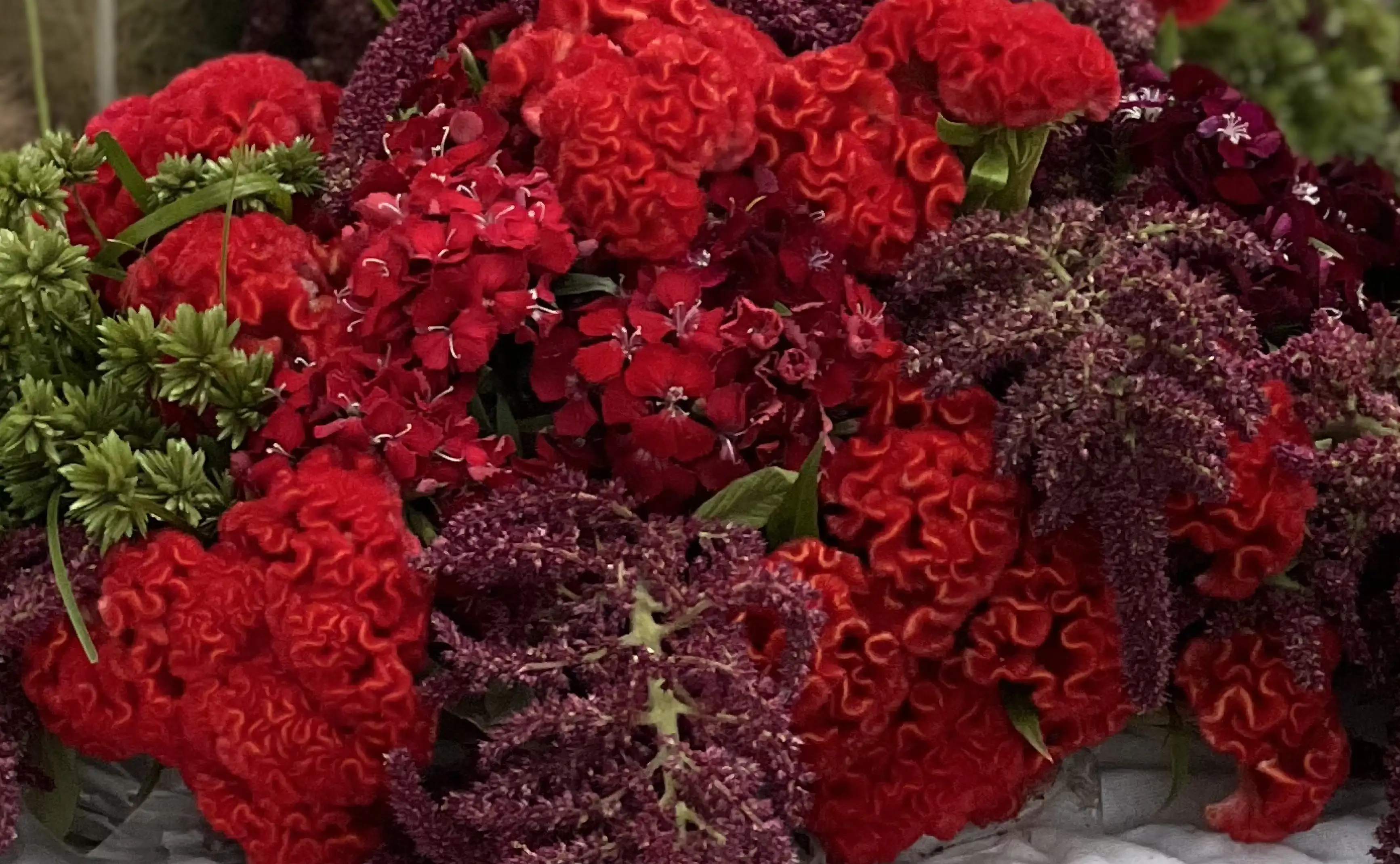 Primer plano de arreglo floral rojo y burdeos con verdes contrastantes para floristas que trabajan composiciones de alto impacto visual.”