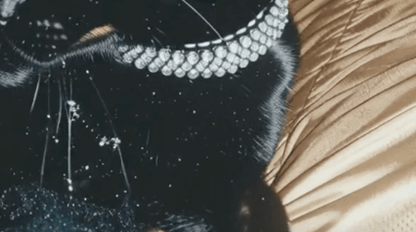 Woman Wearing Sunglasses