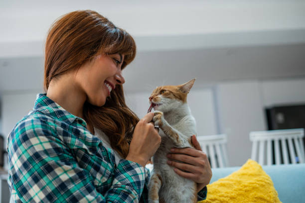 A cat sitter giving care and attention to a pet cat