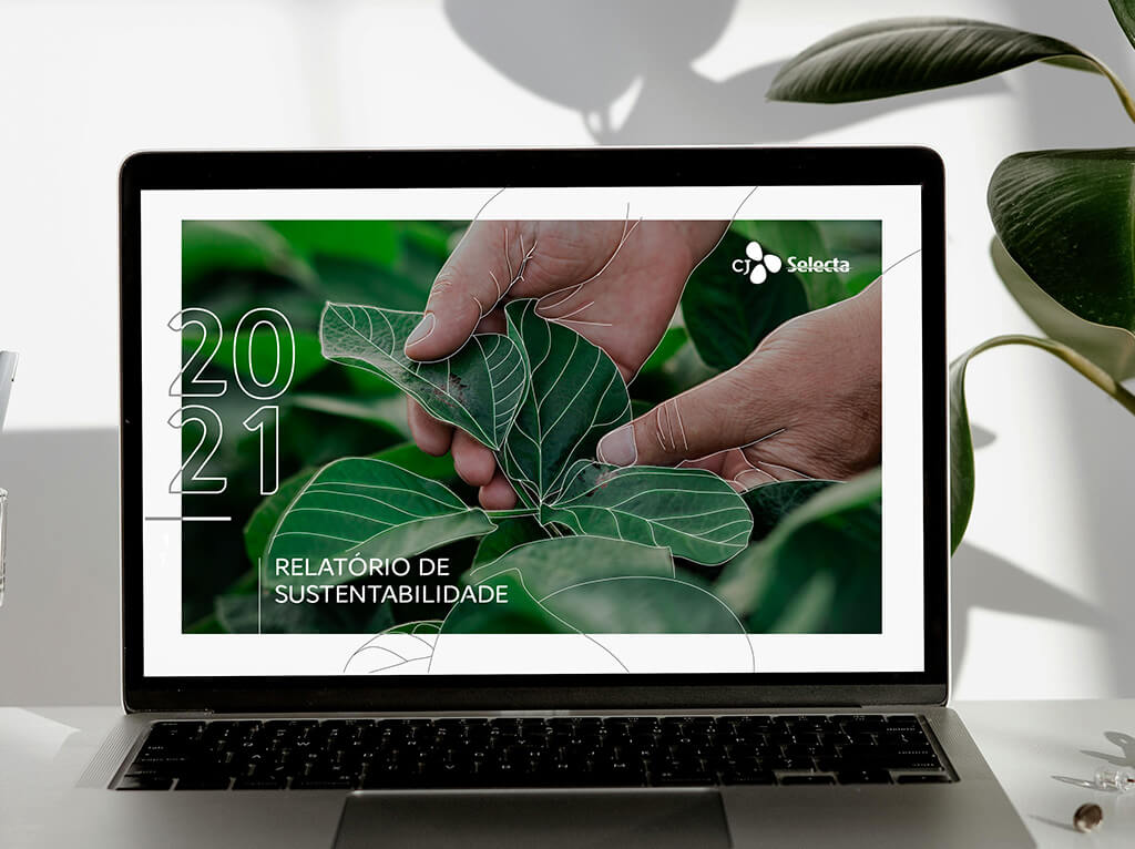 Projeto CJ Selecta: Relatório anual 2021