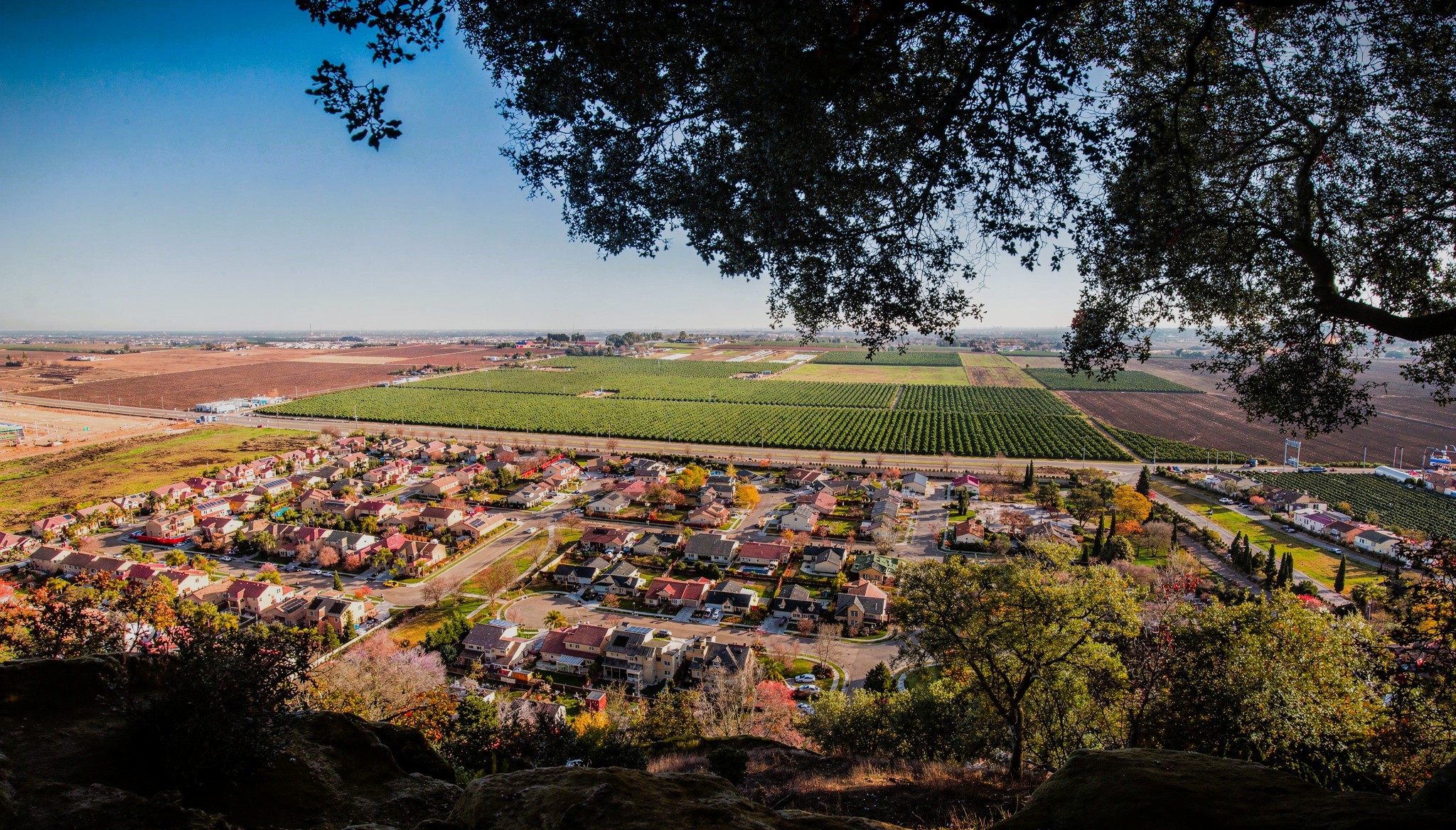 A suburban housing subdivision overlooking farmland