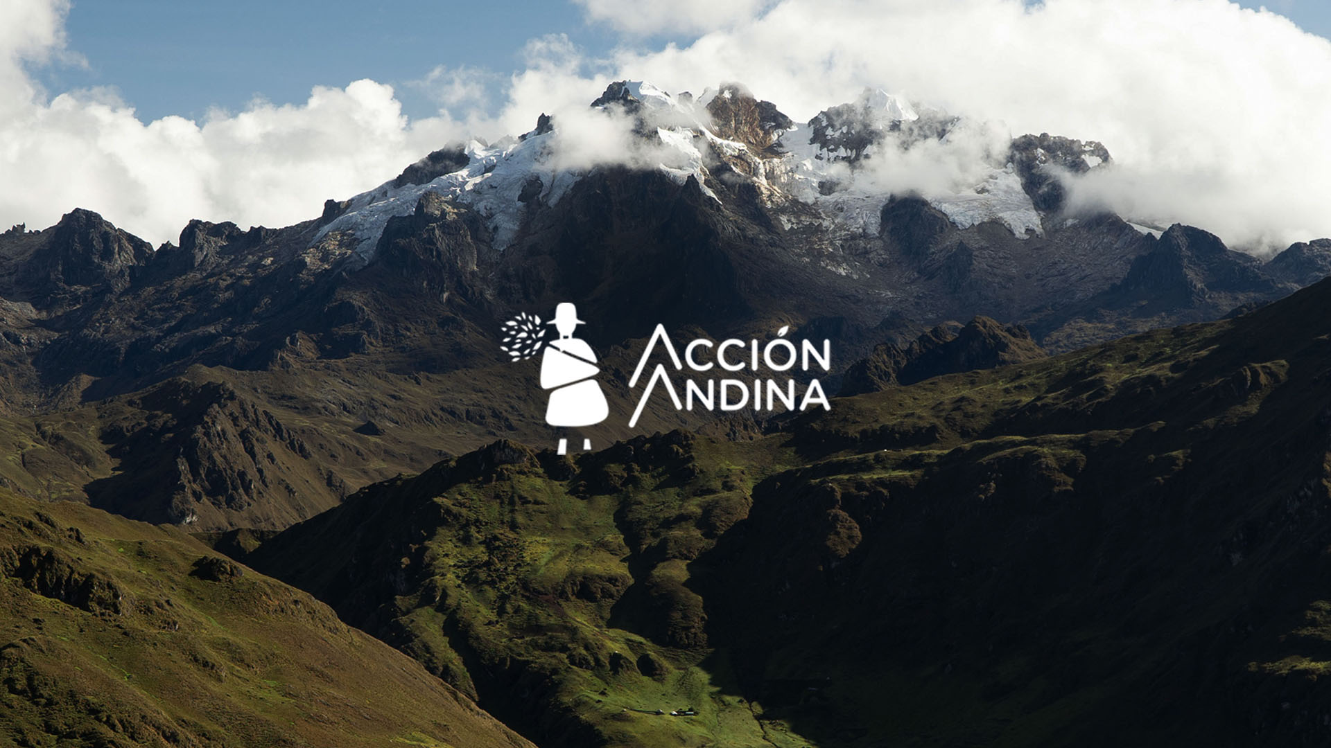 Protesting Polyepsis forests