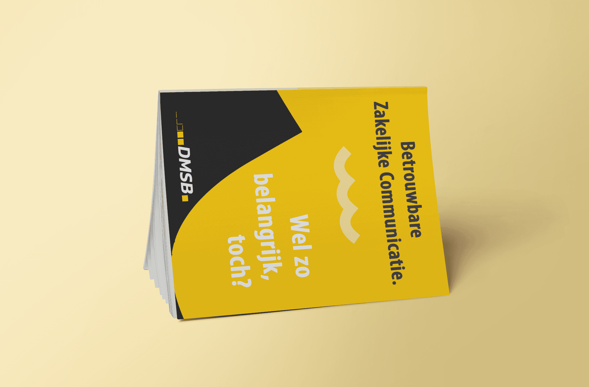 DMSB boek afbeelding