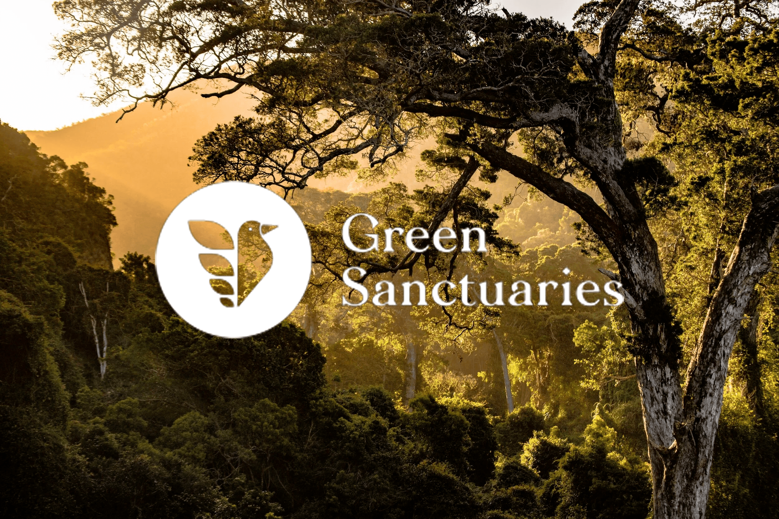 green sanctuaris, mécénat de Retail NEXT.AI