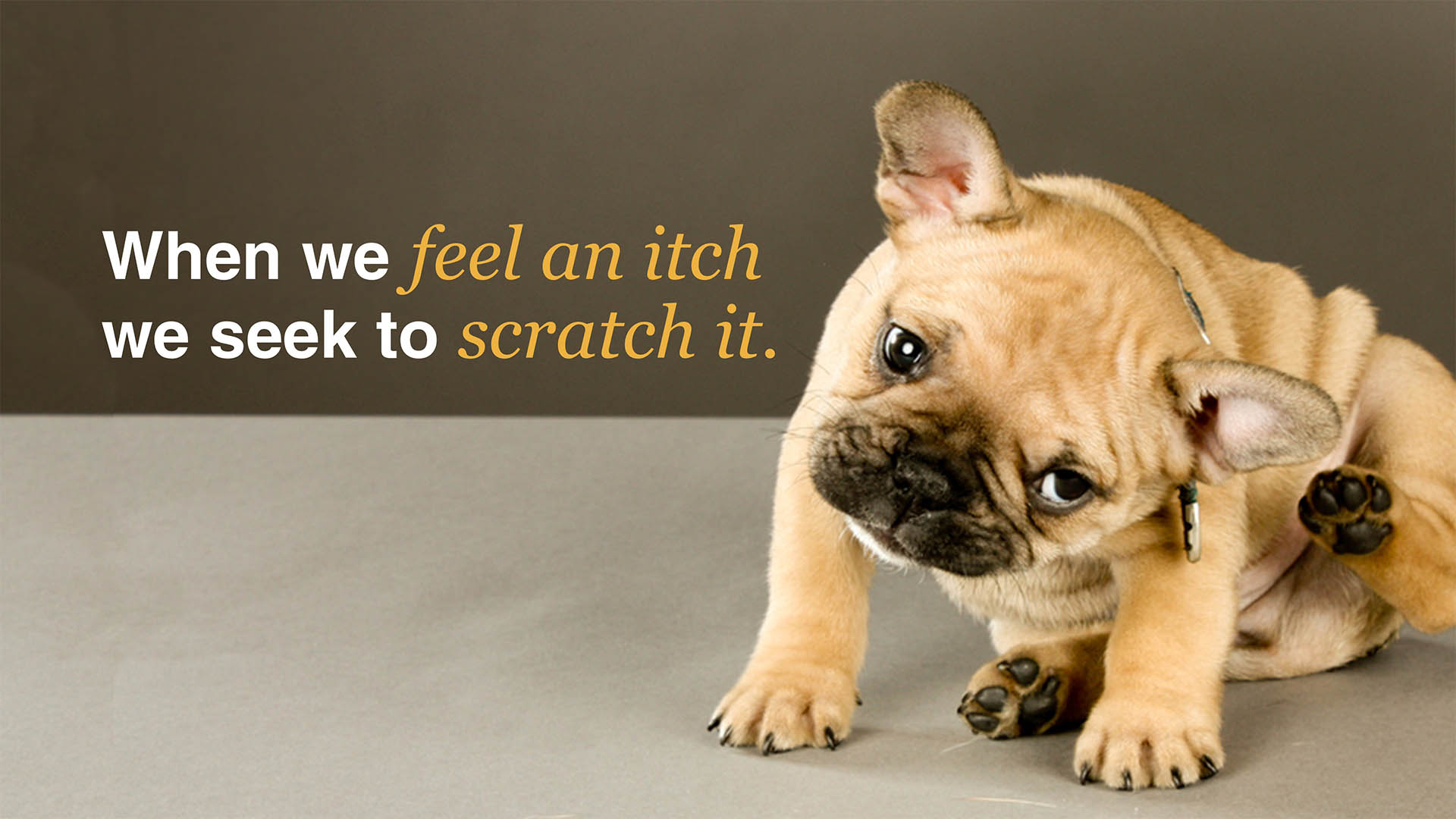 nir eyal presentation slides