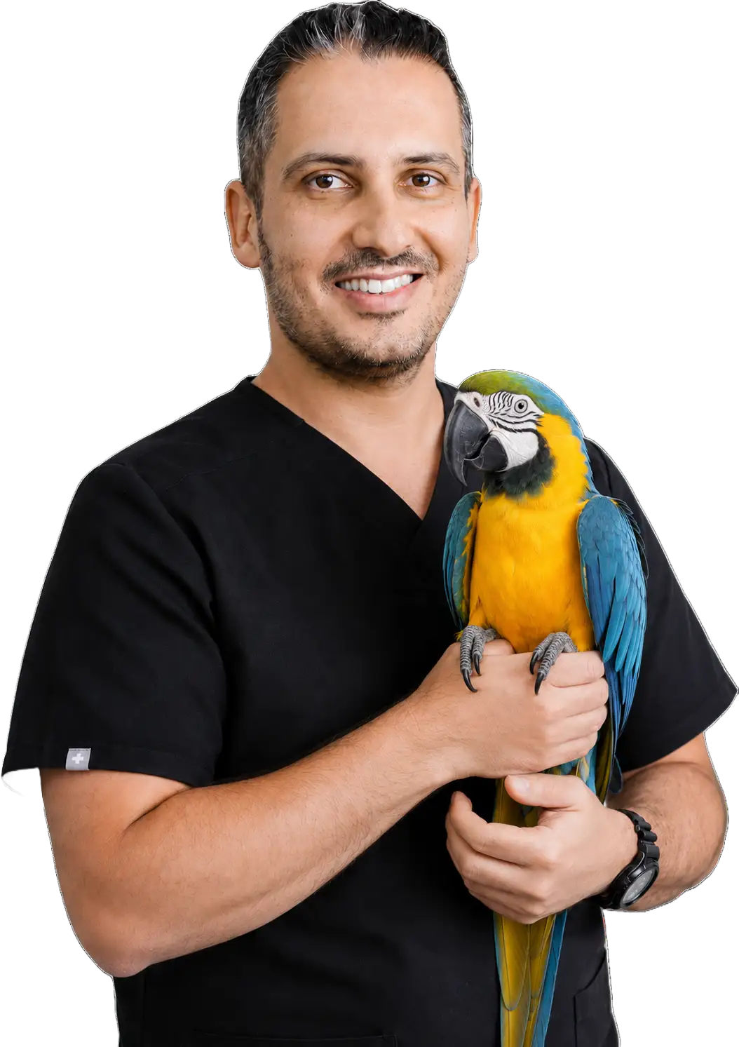 Dr. J. Yeganeh, avian veterinarian at Noble Veterinary Clinics Dubai, smiling with a blue and gold parrot