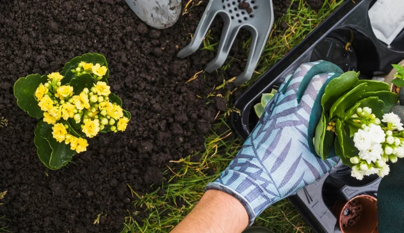 Planting flowers in landscaped garden