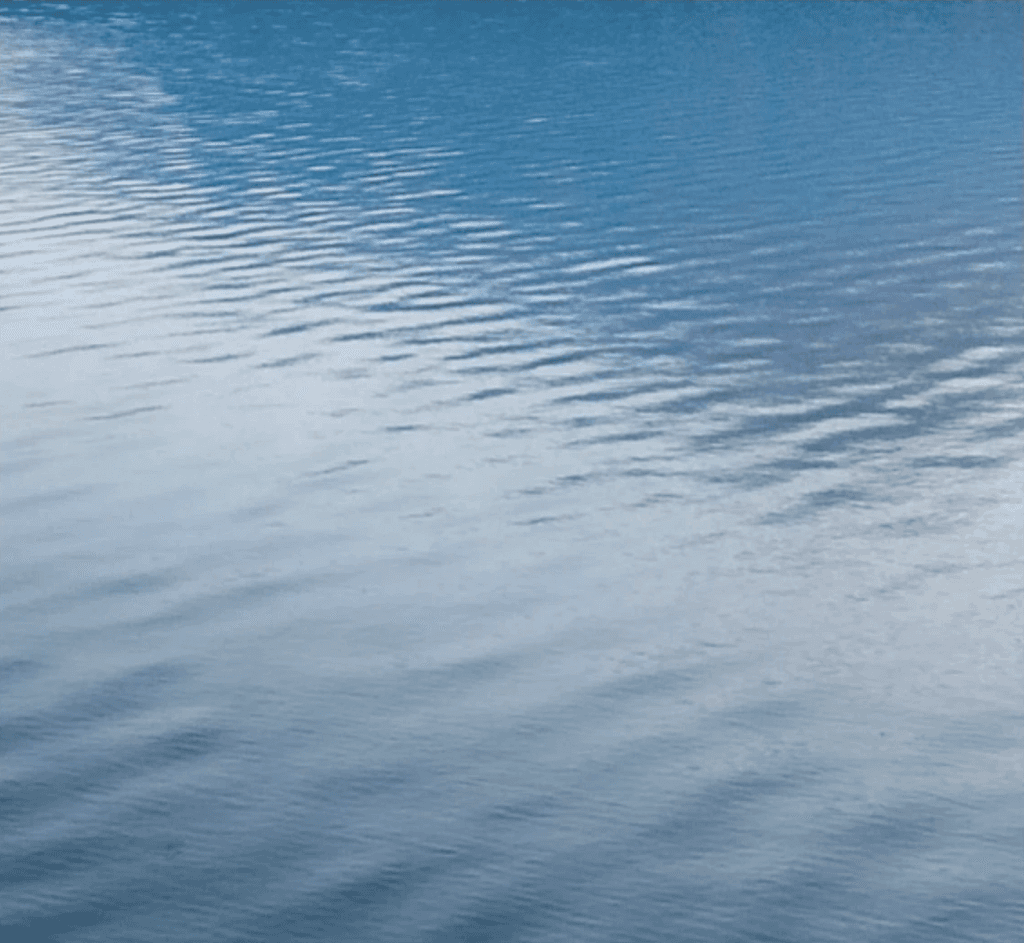 Calm blue water surface with gentle ripples