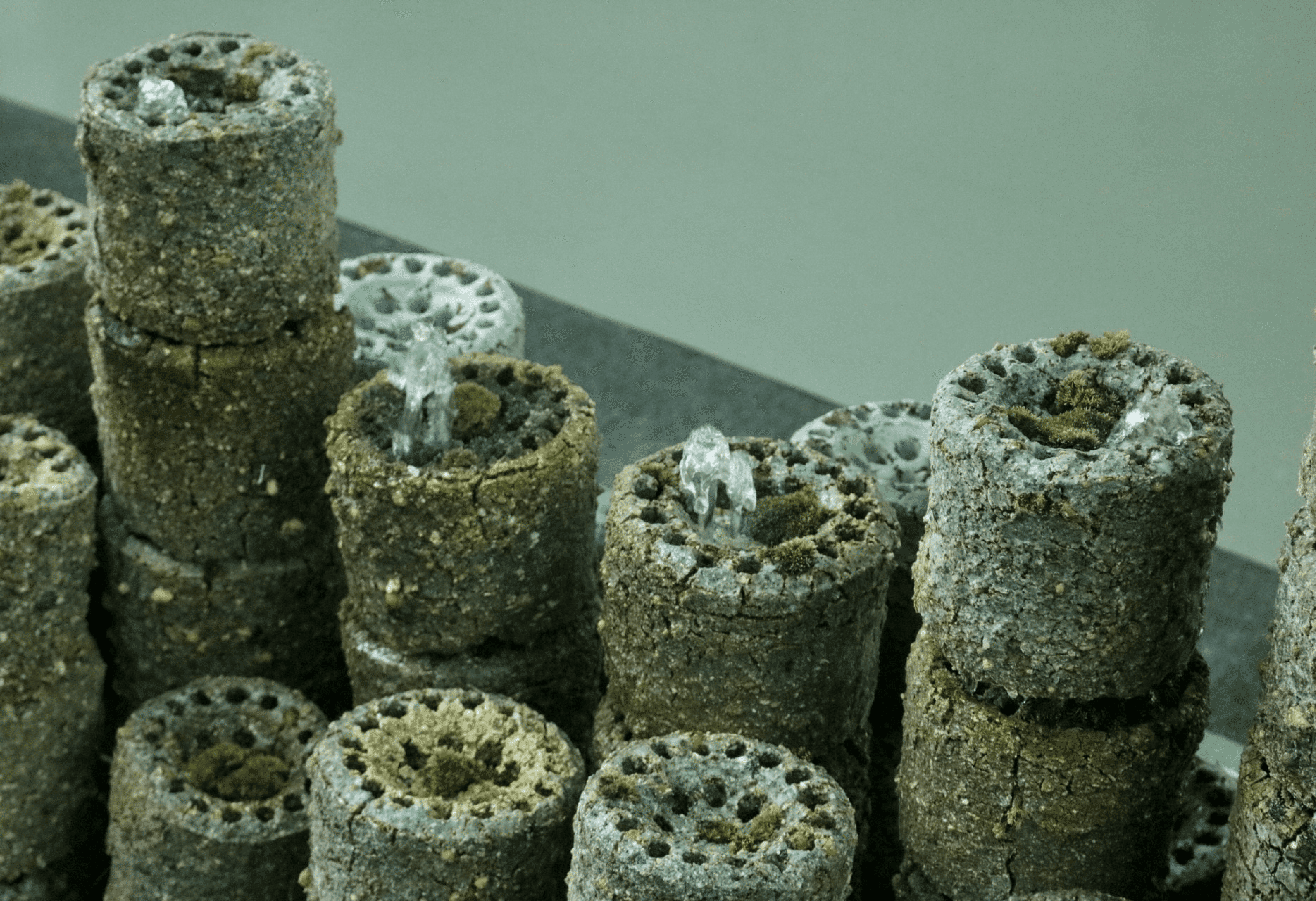 버려진 연탄을 재활용하여 식물 재배가 가능한 화분으로 만든 이지연 작가의 작품 '잿소리'.