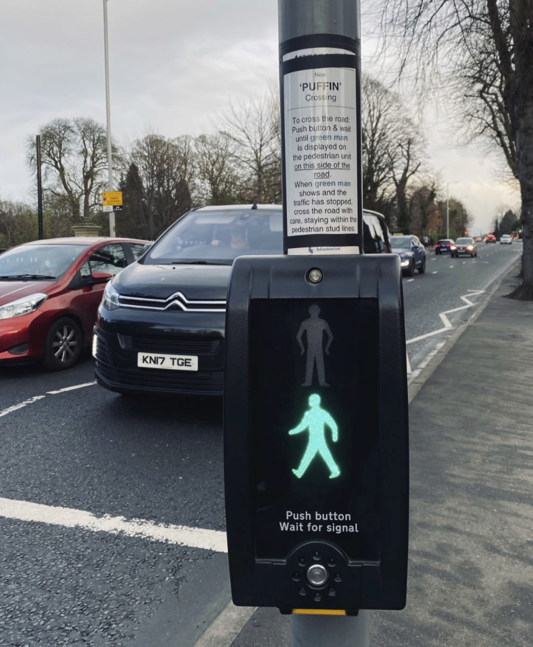 Pedestrian crossing interface