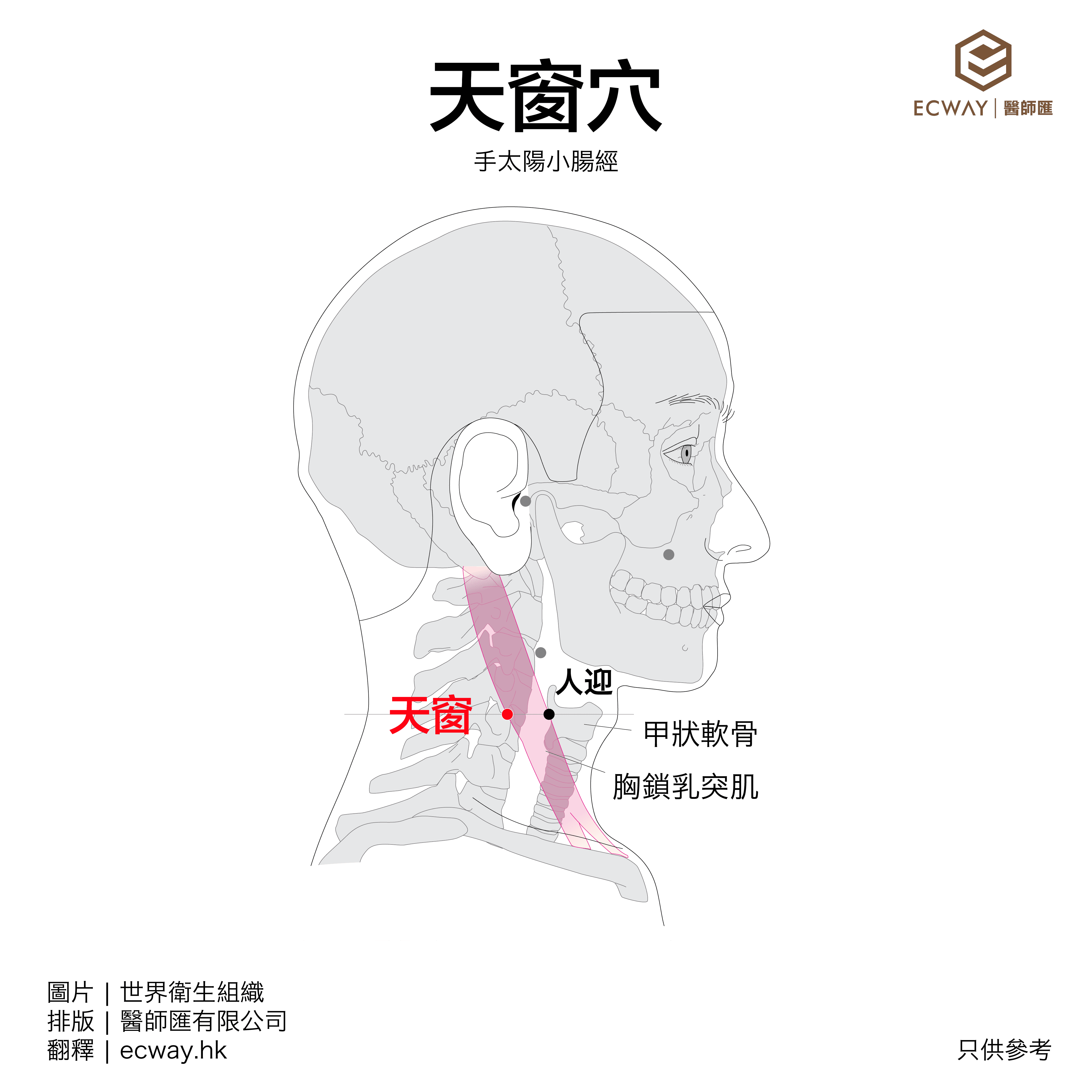 天窗穴