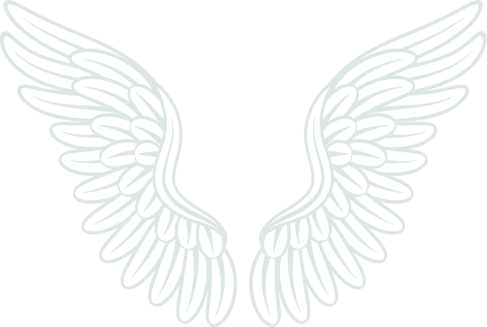 Flügel des Vintagehimmels