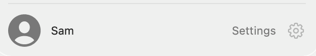 The Settings cog beside Sam's profile at the bottom of the sidebar.