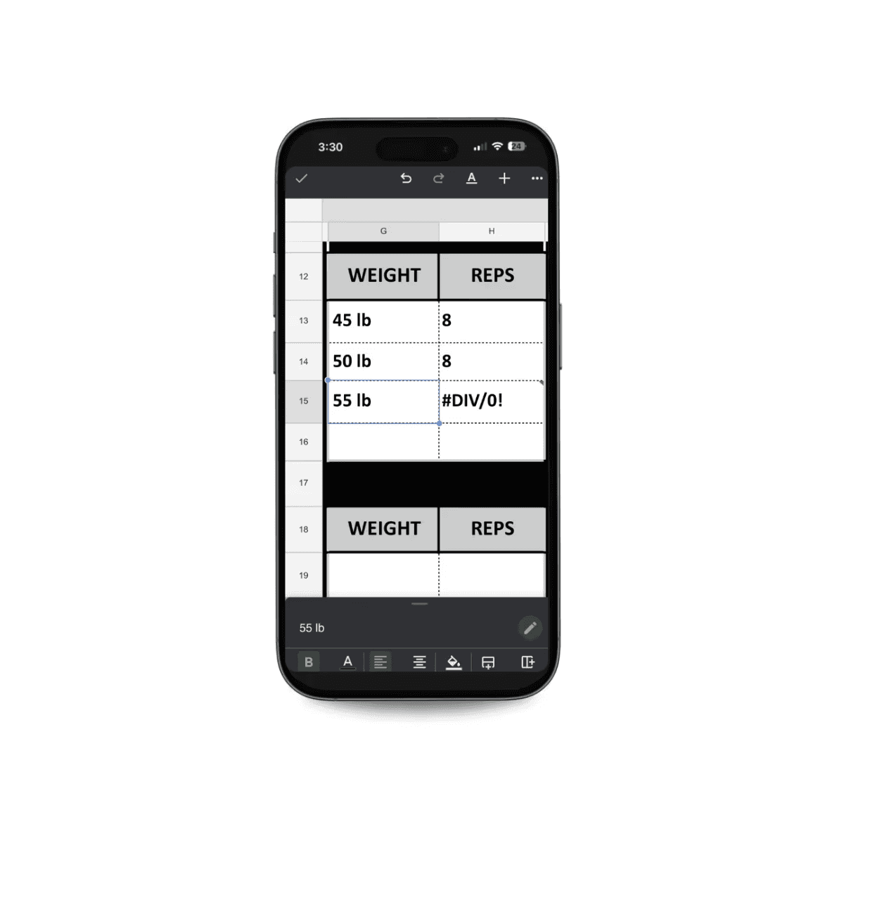 personal training spreadsheet on mobile