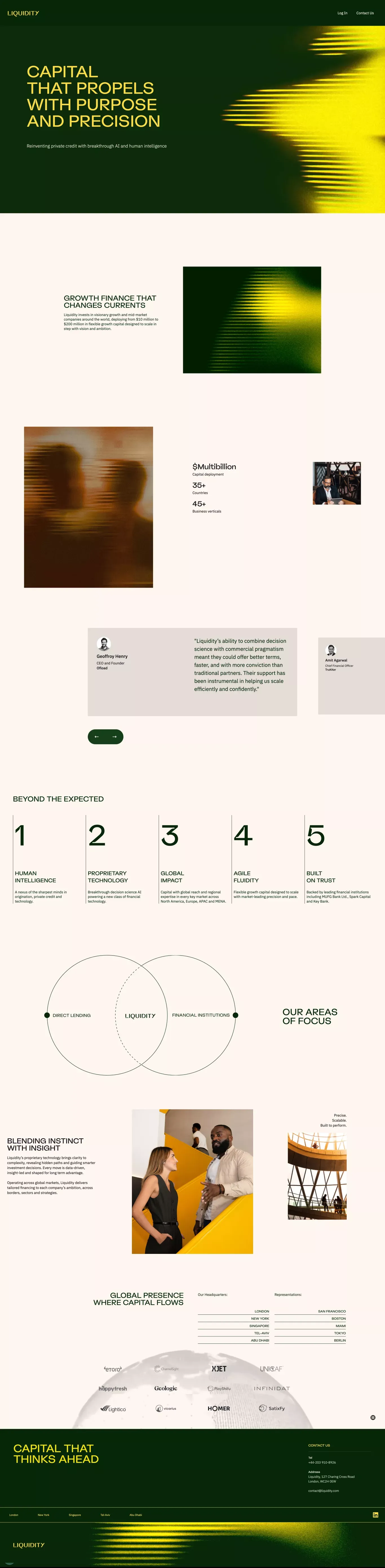 Liquidity – Global Experts in Growth Fin landing page screenshot showcasing AI and Finance design