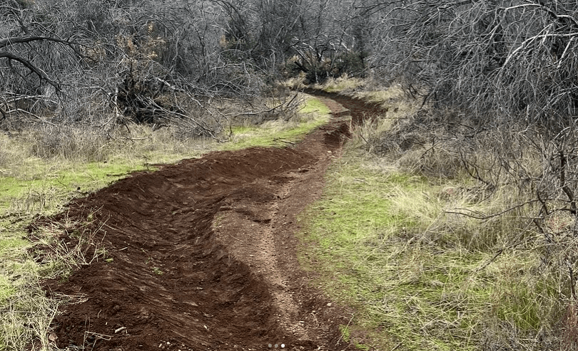 a group of children standing around each other