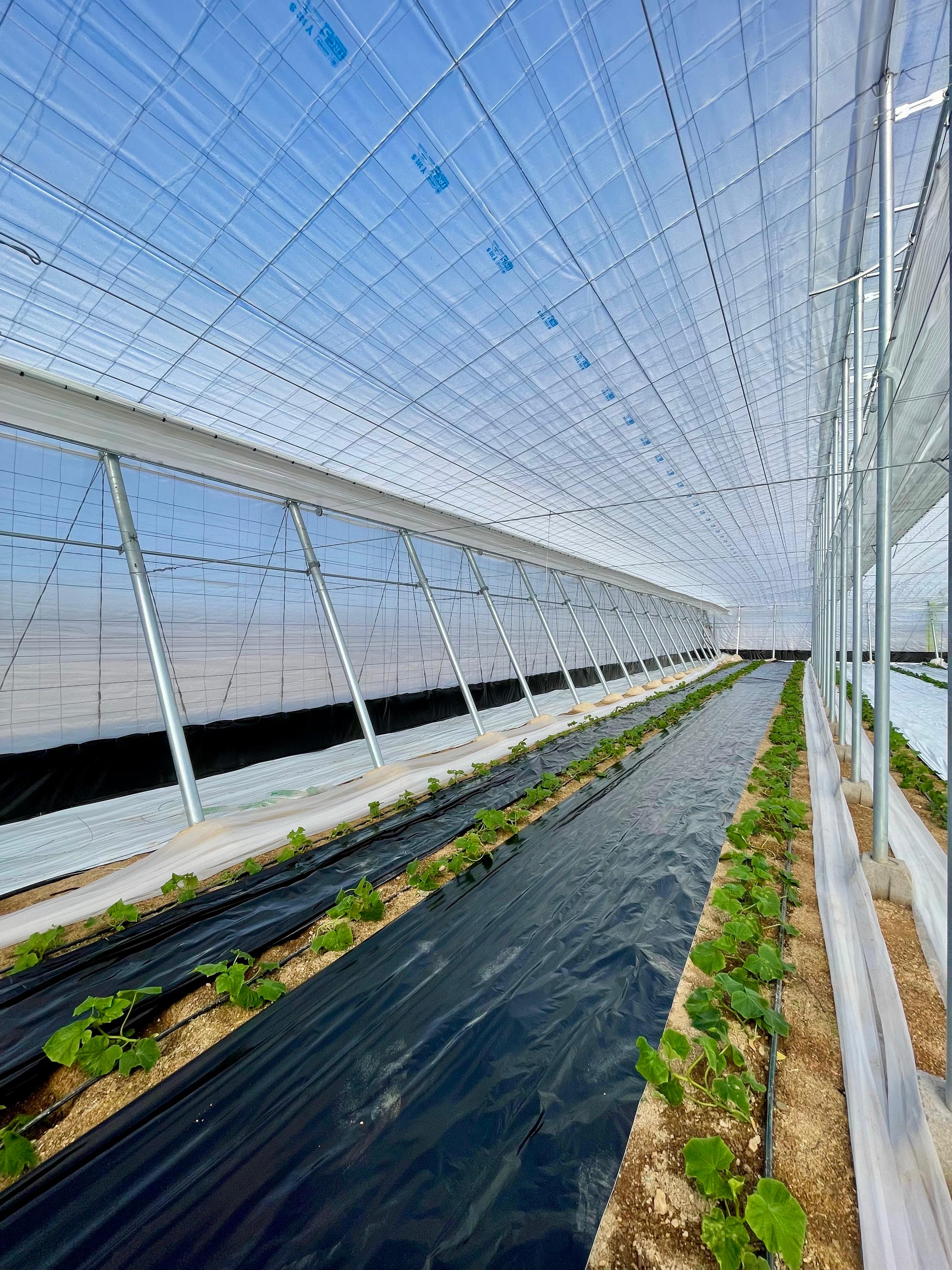 Nexus Flow greenhouse screen installations