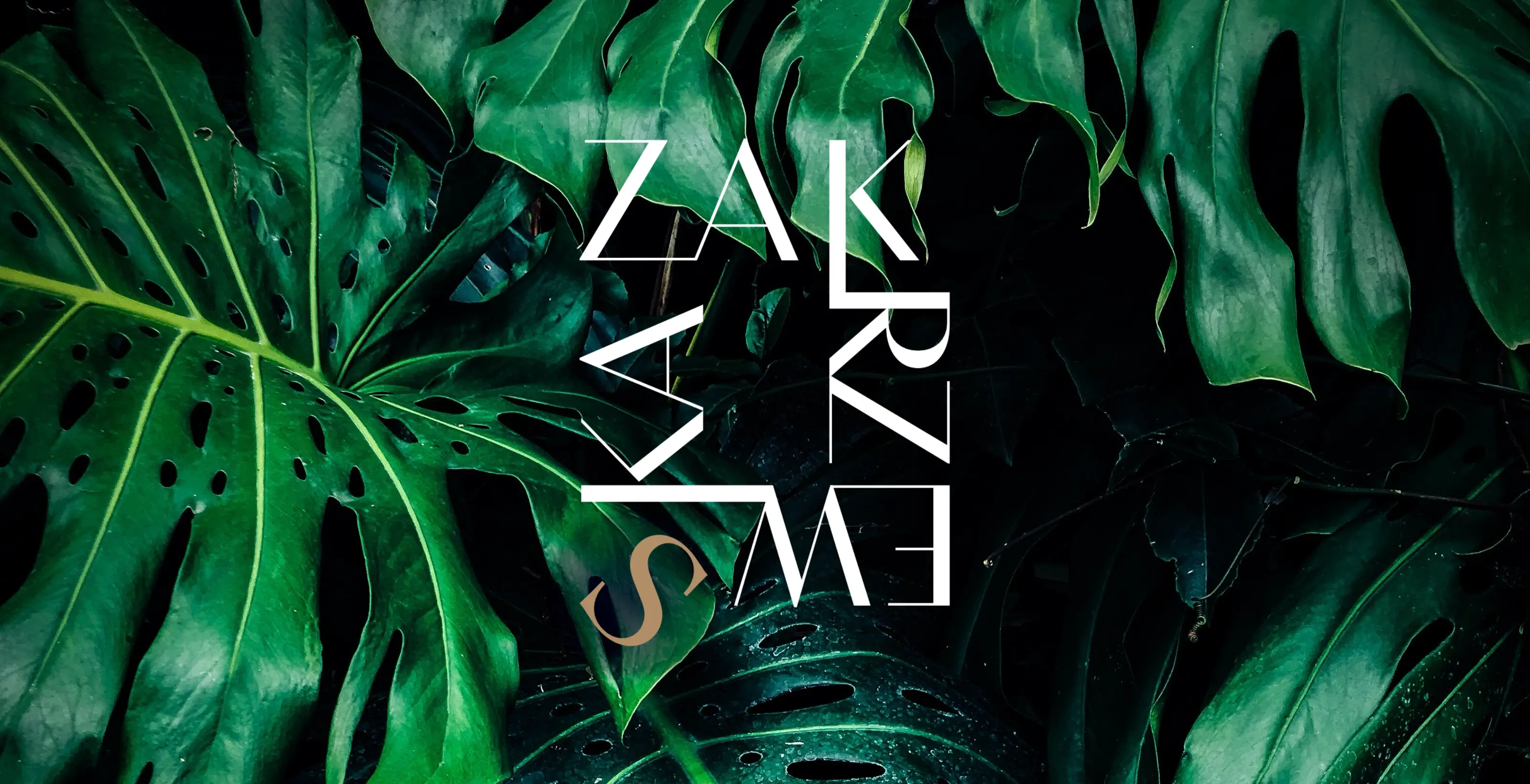 Zakrzewska Studio