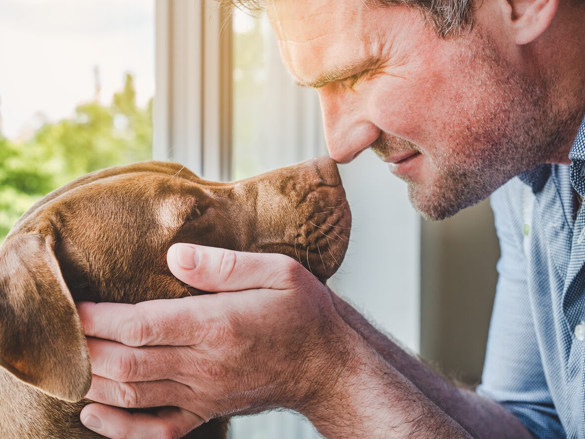 dog and man giving nose bumps