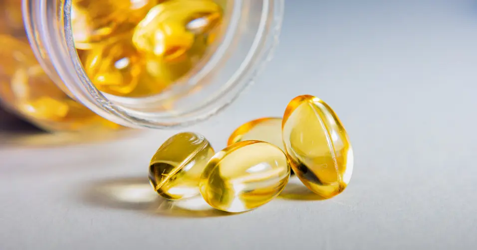 Fatty acids are essential fats that support energy, hormones, and inflammation control.