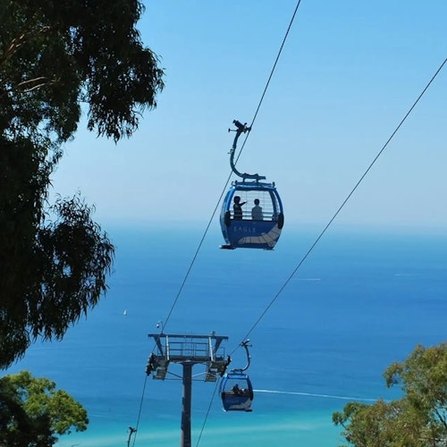 Cable cars with passengers suspended over a blue ocean, framed by tree branches in the foreground.