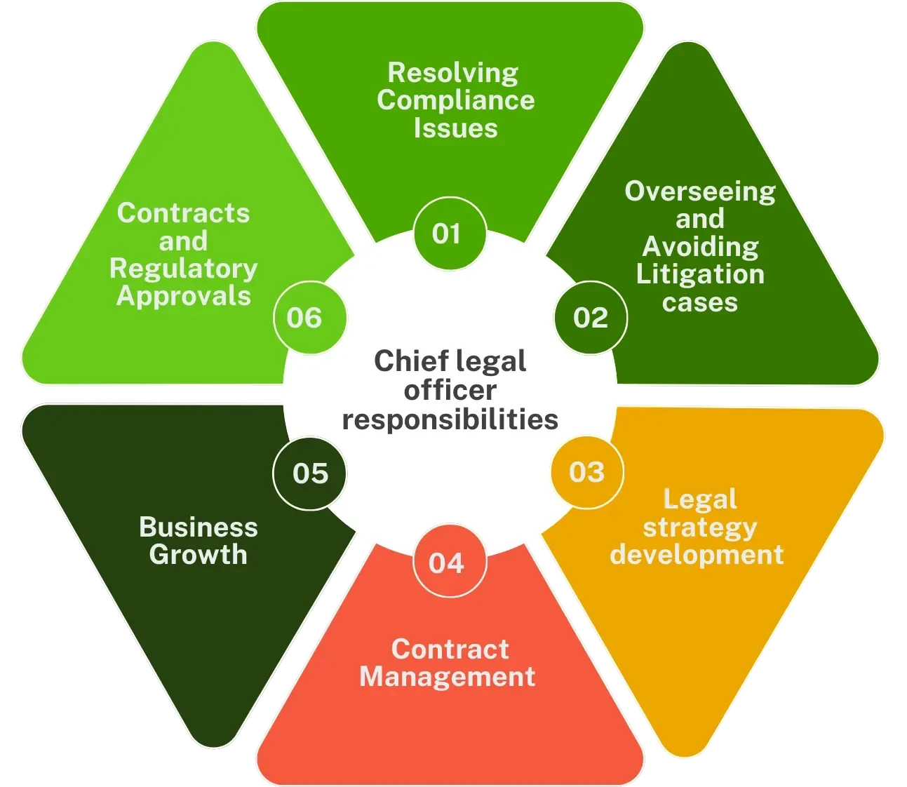 The Role of a CLO in an Organization