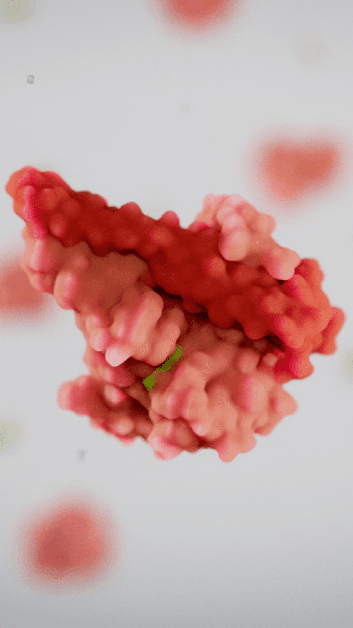 PI3K molecule with bound inhibitor