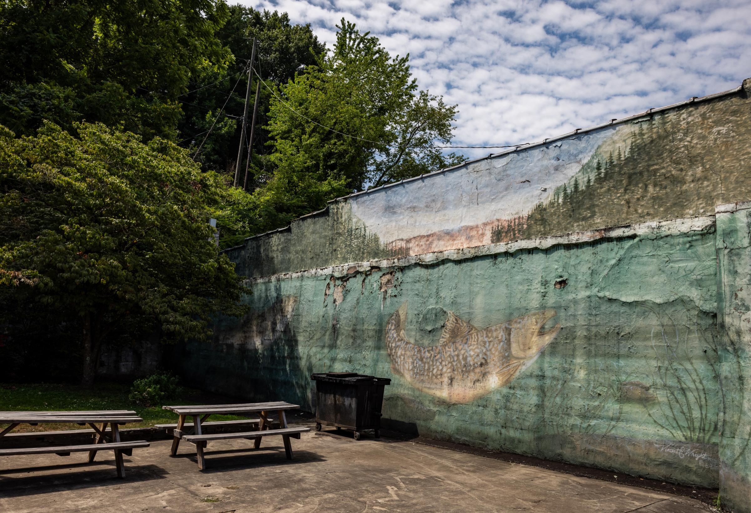 Canton Trout Mural