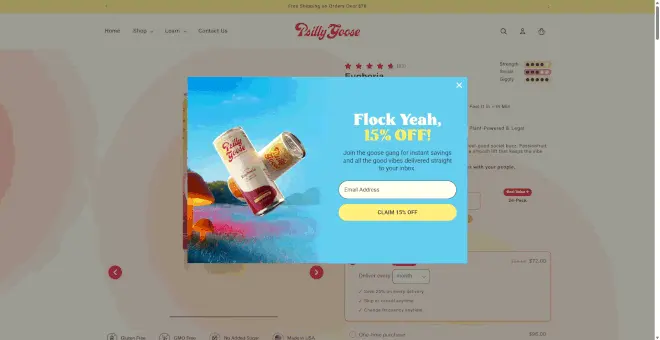 Psilly Goose welcome email popup featuring a dynamic visual slideshow of a product and a 15% off discount