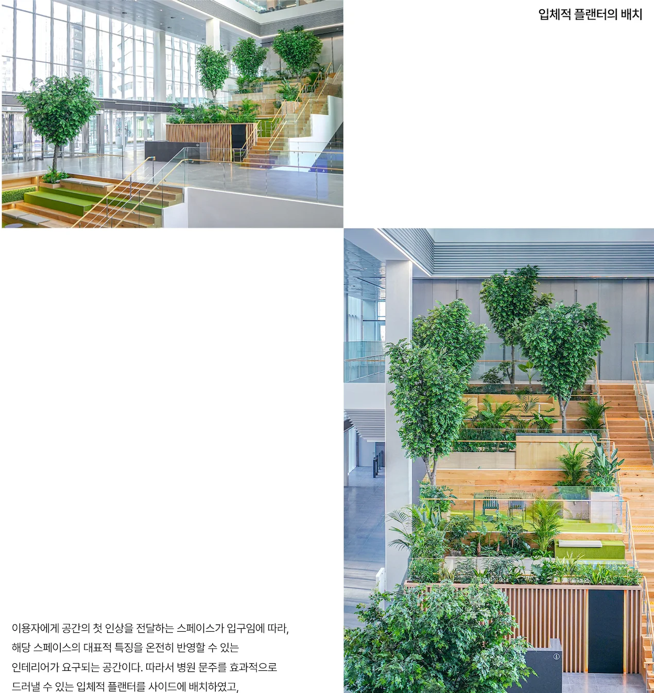 통신사 로비 실내조경 | 에코피플 정원디자인 - 에코피플