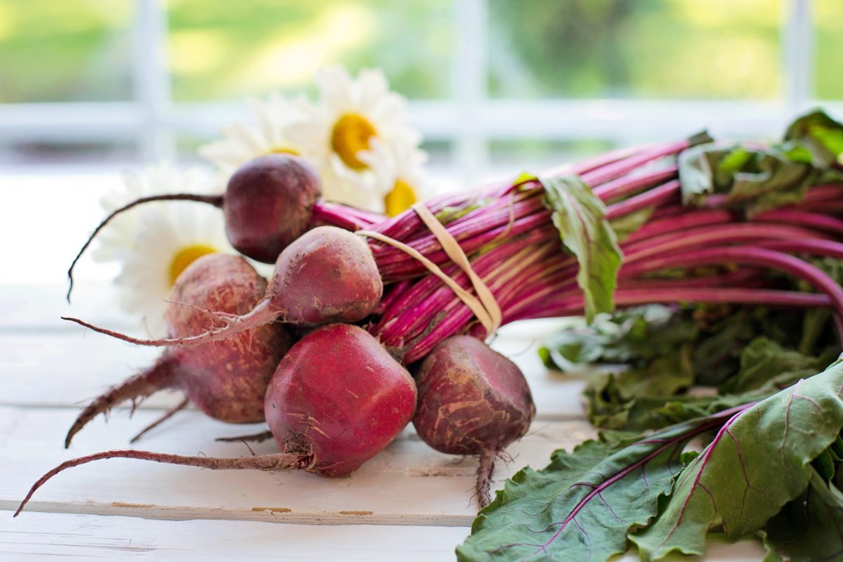 Beet 3 e1500554172881