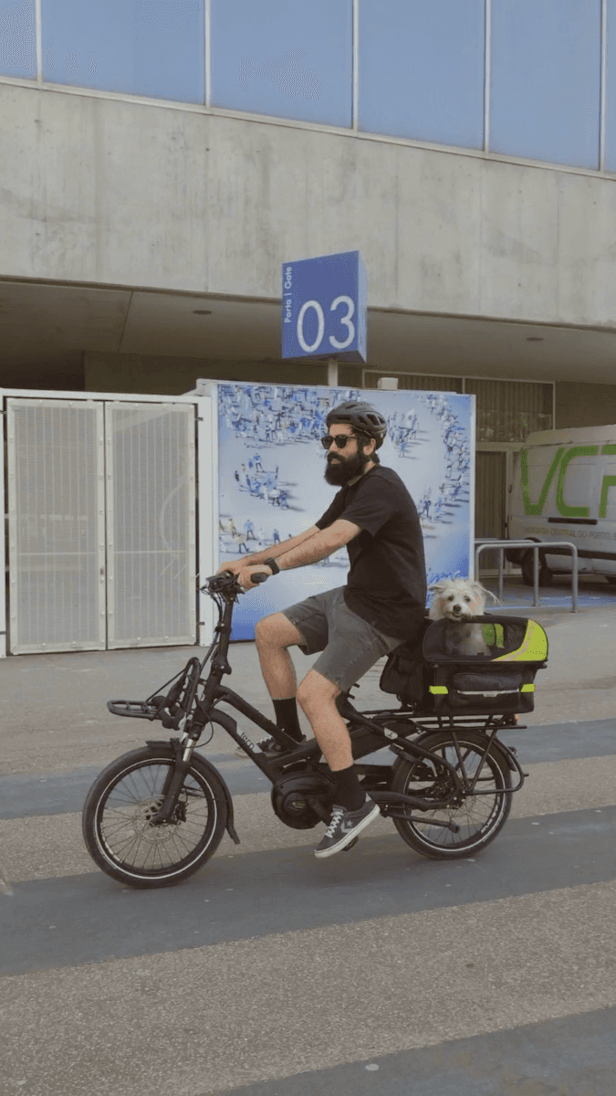 Cargo Bike