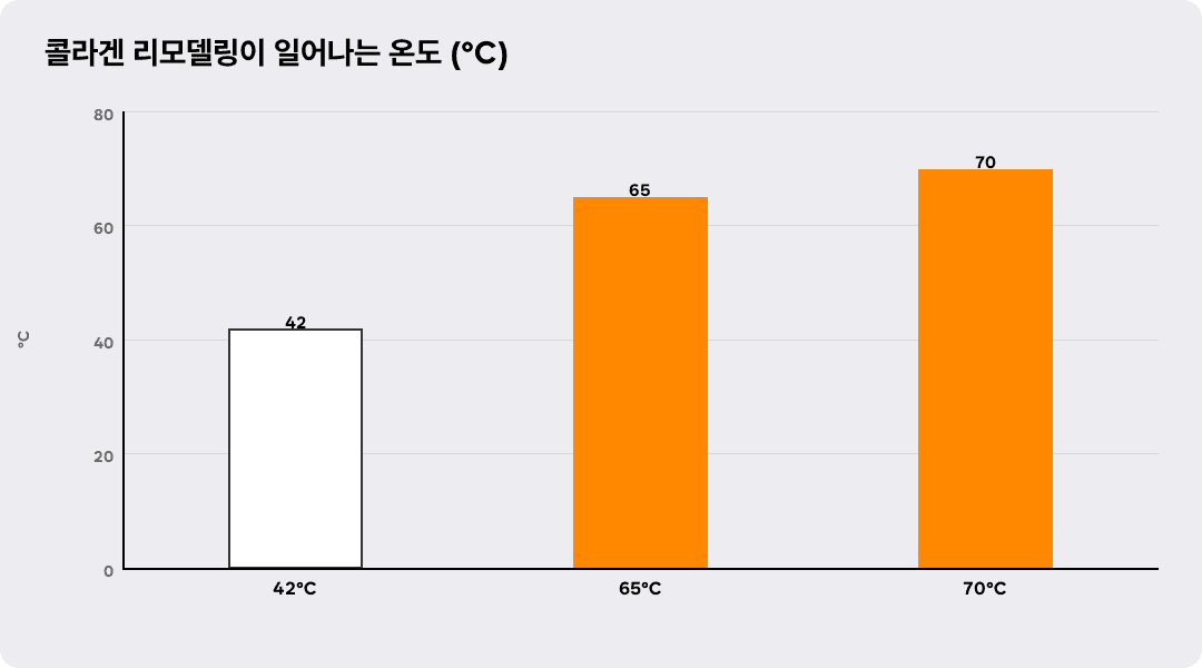 콜라겐 리모델링이 일어나는 온도 (℃)