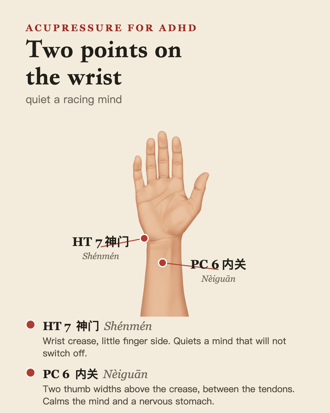 Two calming points on the wrist: HT 7 神门 Shénmén at the wrist crease and PC 6 内关 Nèiguān on the inner forearm