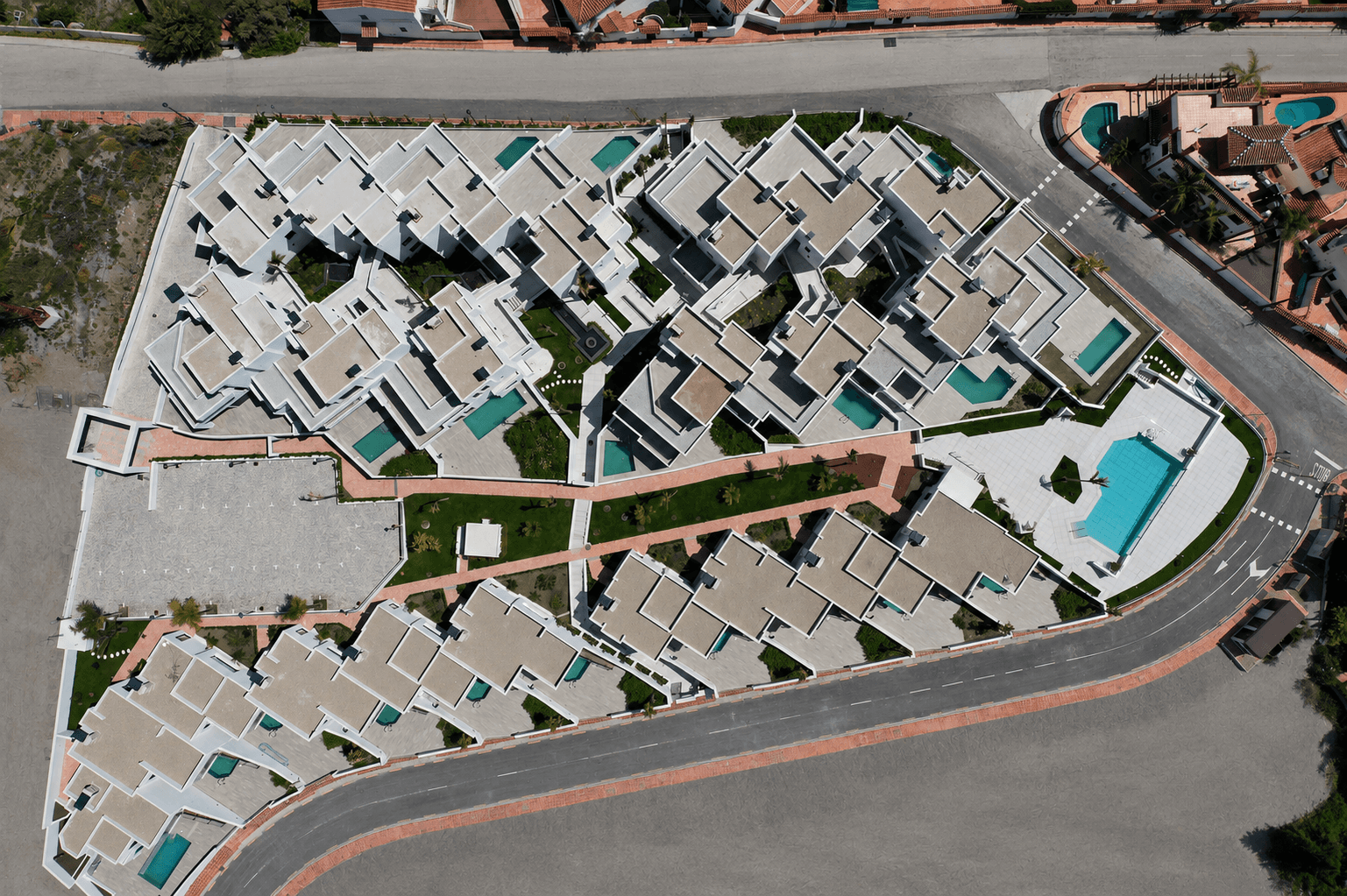 Royal Palm