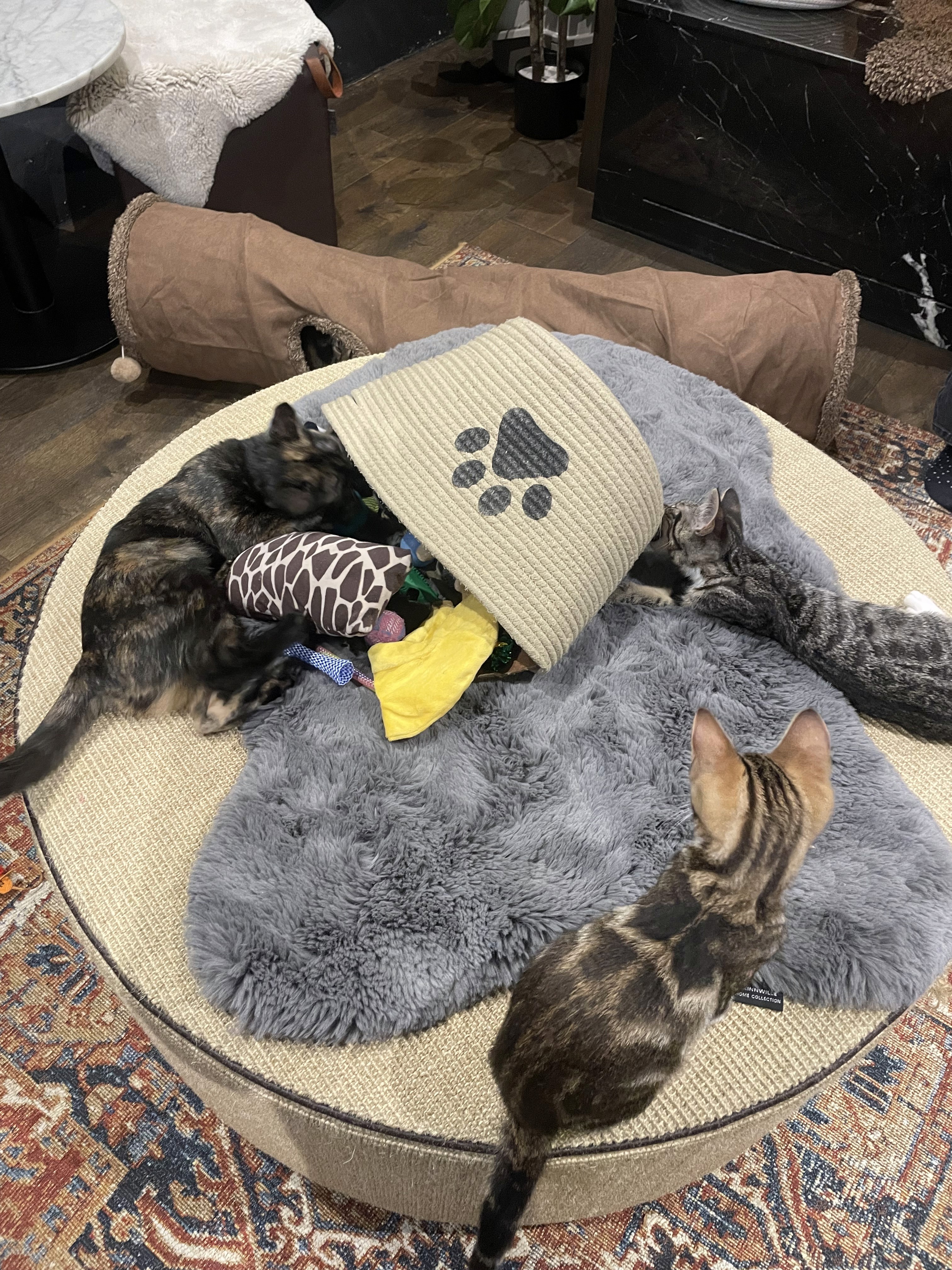 A young person with curly hair smiles at the camera while sitting in front of a laptop against a dark background.