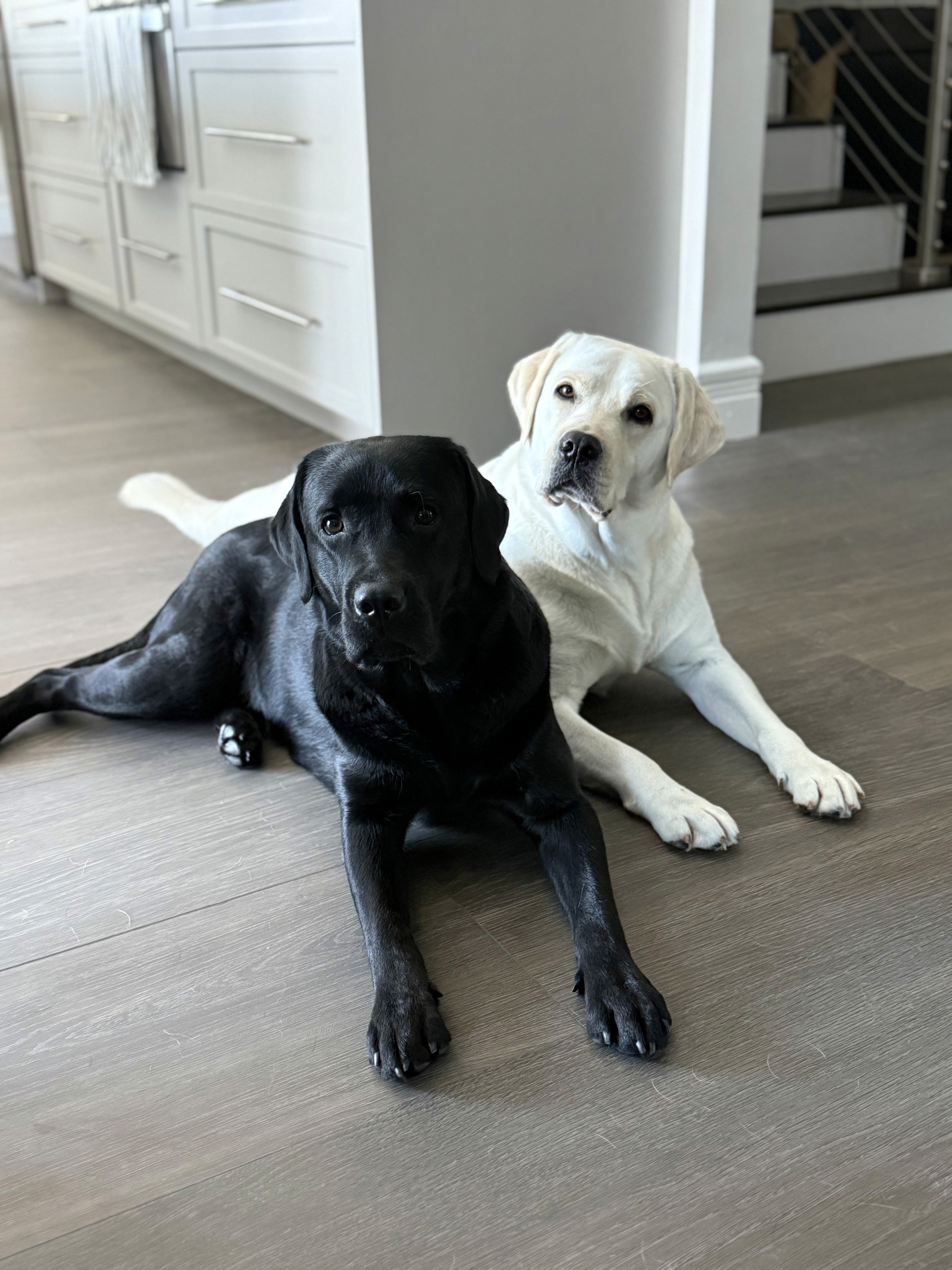 Molly and Boone