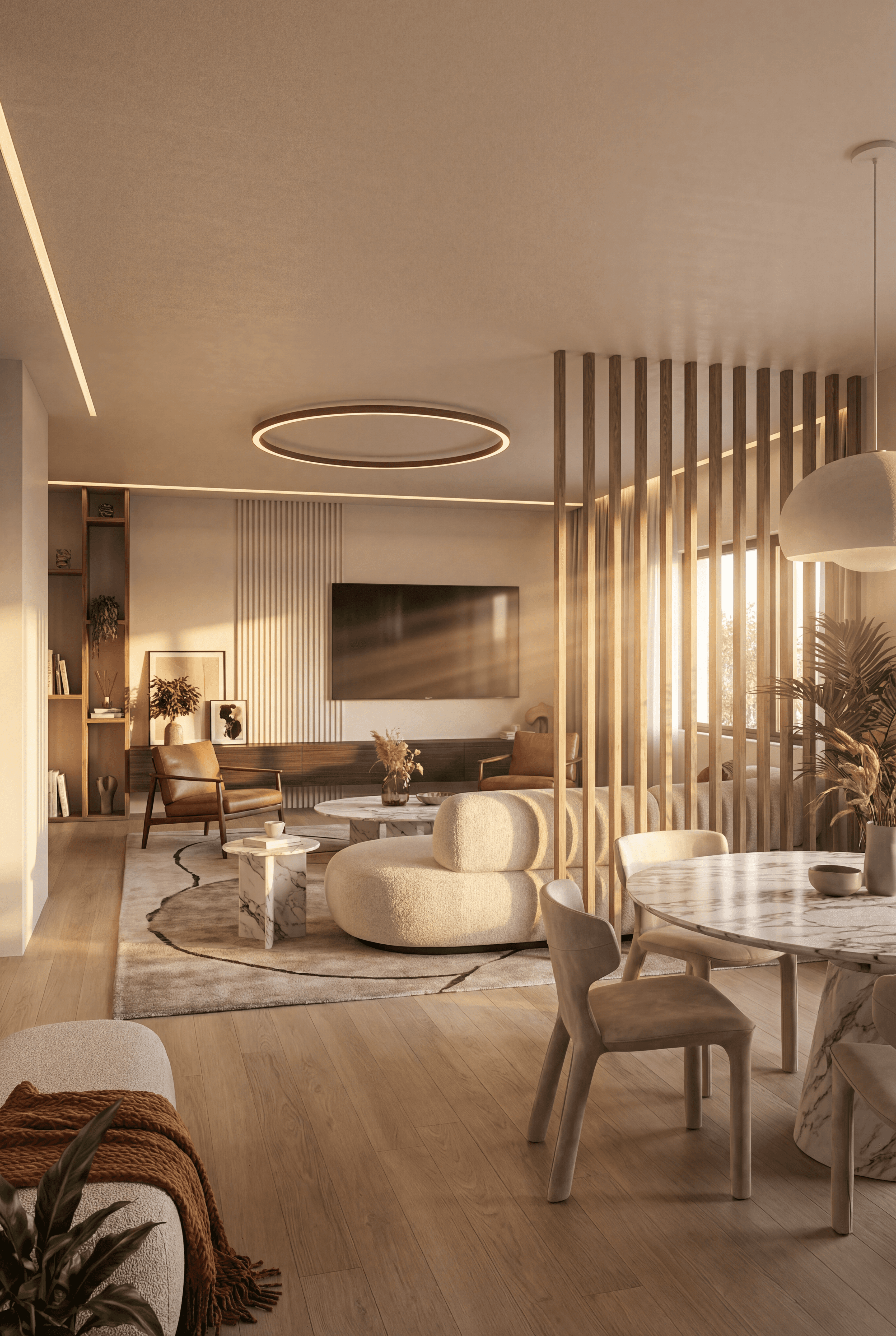 modern house with a big field